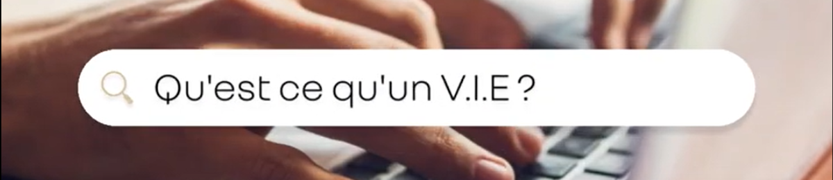 Illustration avec pour question "qu'est-ce qu'un V.I.E. ?"