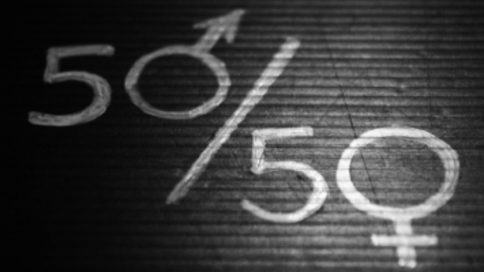Bannière illustrant l'égalité entre homme et femme par des pourcentages parfaits à 50 %.